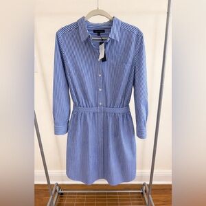 Banana Republic Blue & White Pin Striped Dress